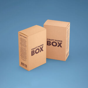 Kraft Craft Kit Box